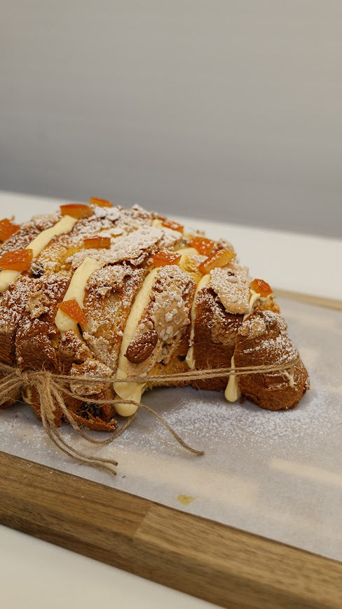La Colombe Charlotte par Dario Bivona