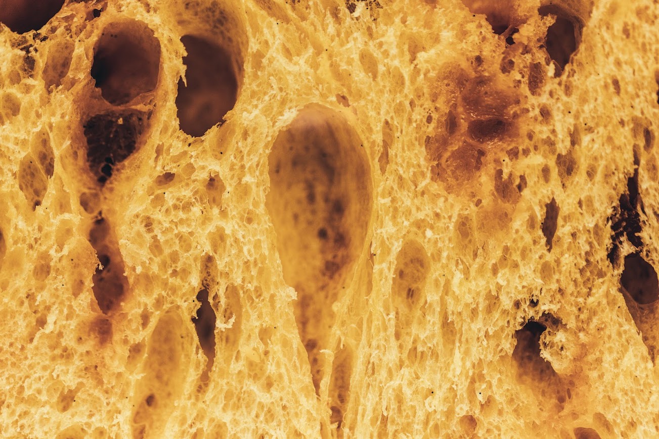Le panettone Le Phénix : une renaissance gourmande