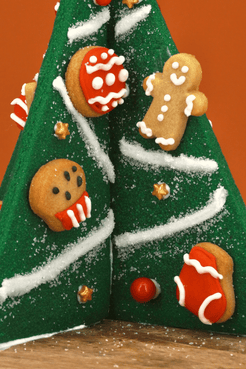 Mon beau sapin - Kit de biscuits à décorer par Viva panettone et La Biscuiterie