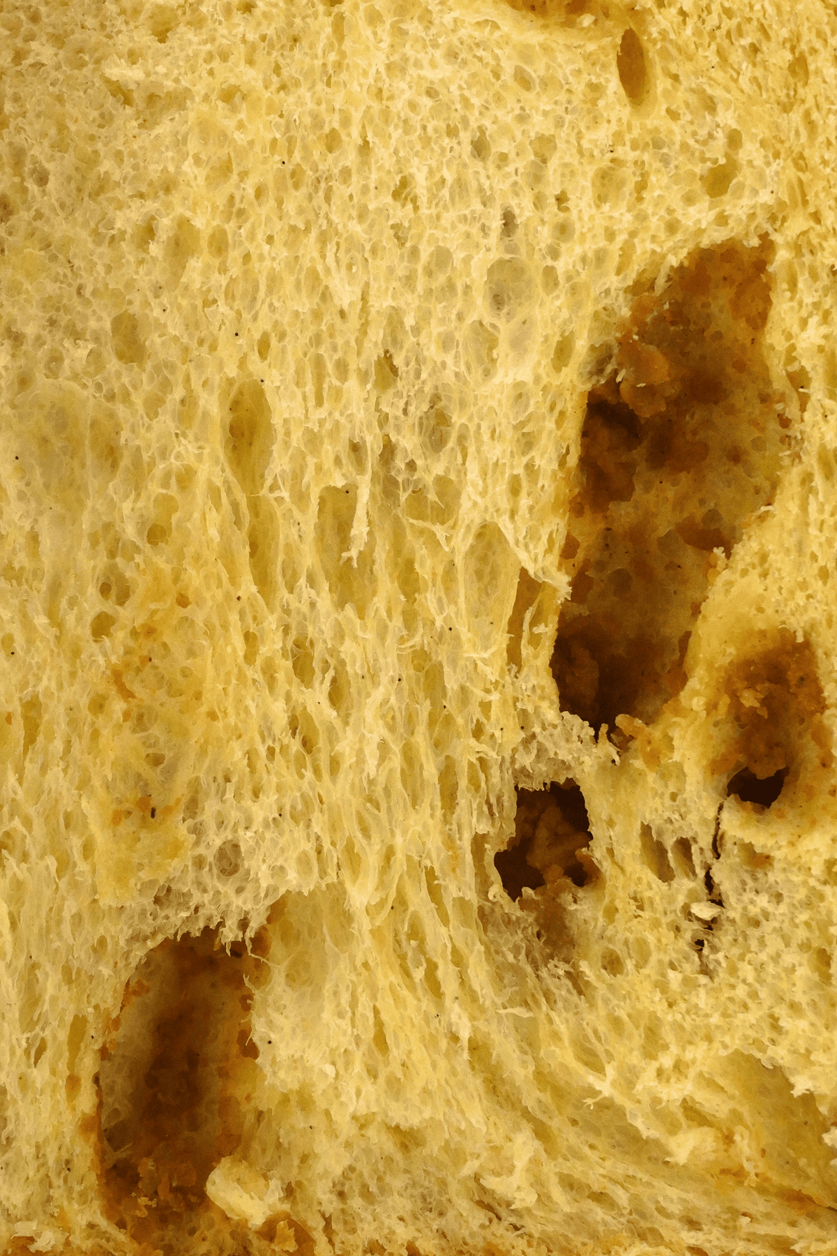 Gros plan sur la mie du panettone Le Pistache