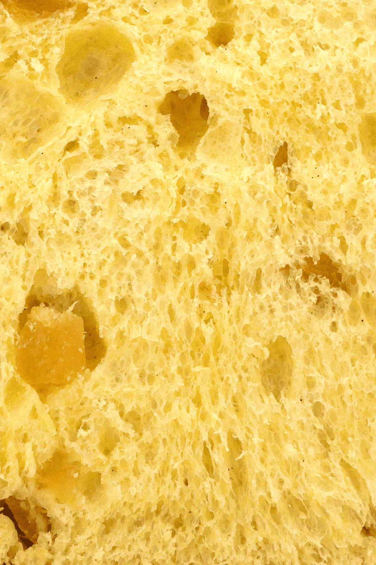 Gros plan sur la mie moelleuse d'un panettone aux agrumes