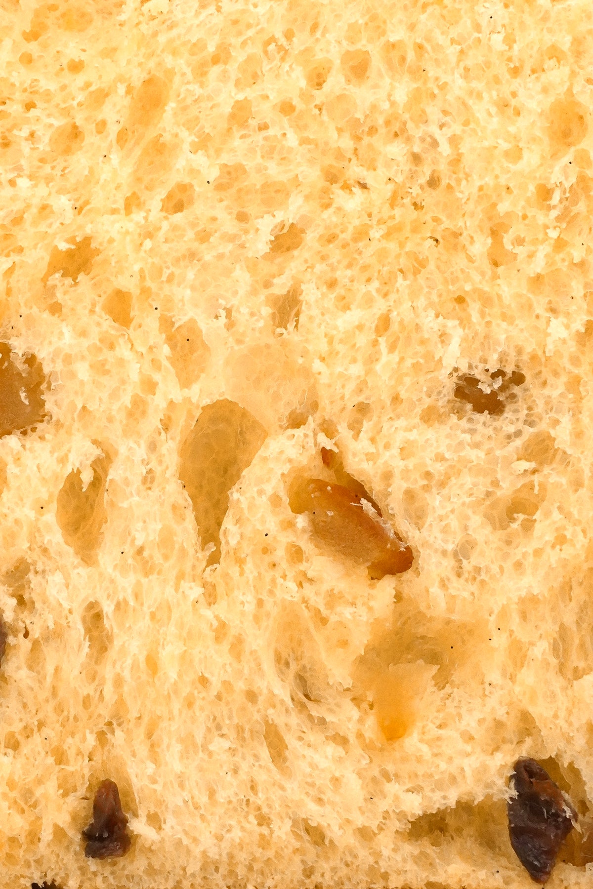 Gros plan sur la mie d'un panettone aux fruits confits